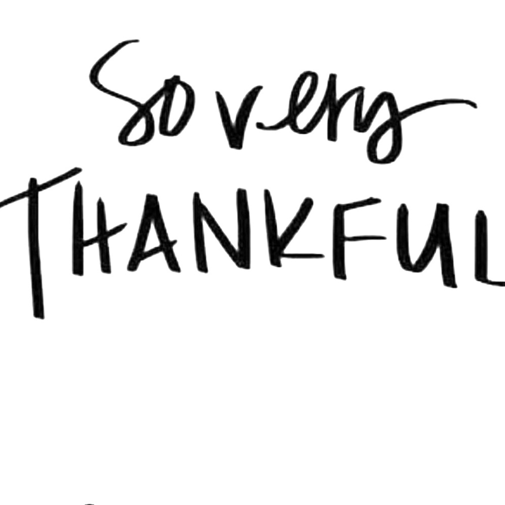 Meet your Posher, Yoshi